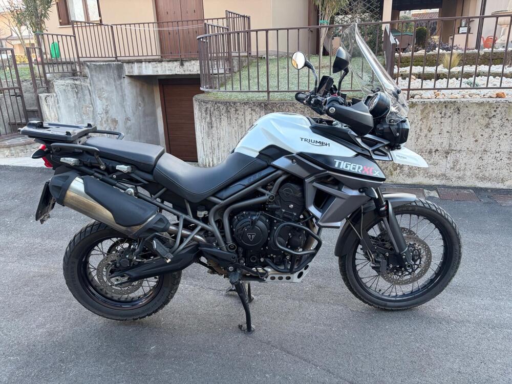 Triumph Tiger 800 XCx (2015 - 17) (5)