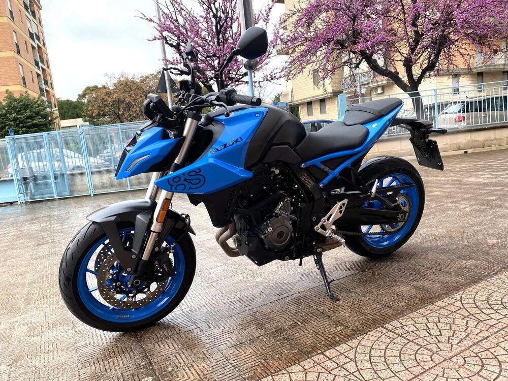 Suzuki GSX-8S (2023 - 24) (2)