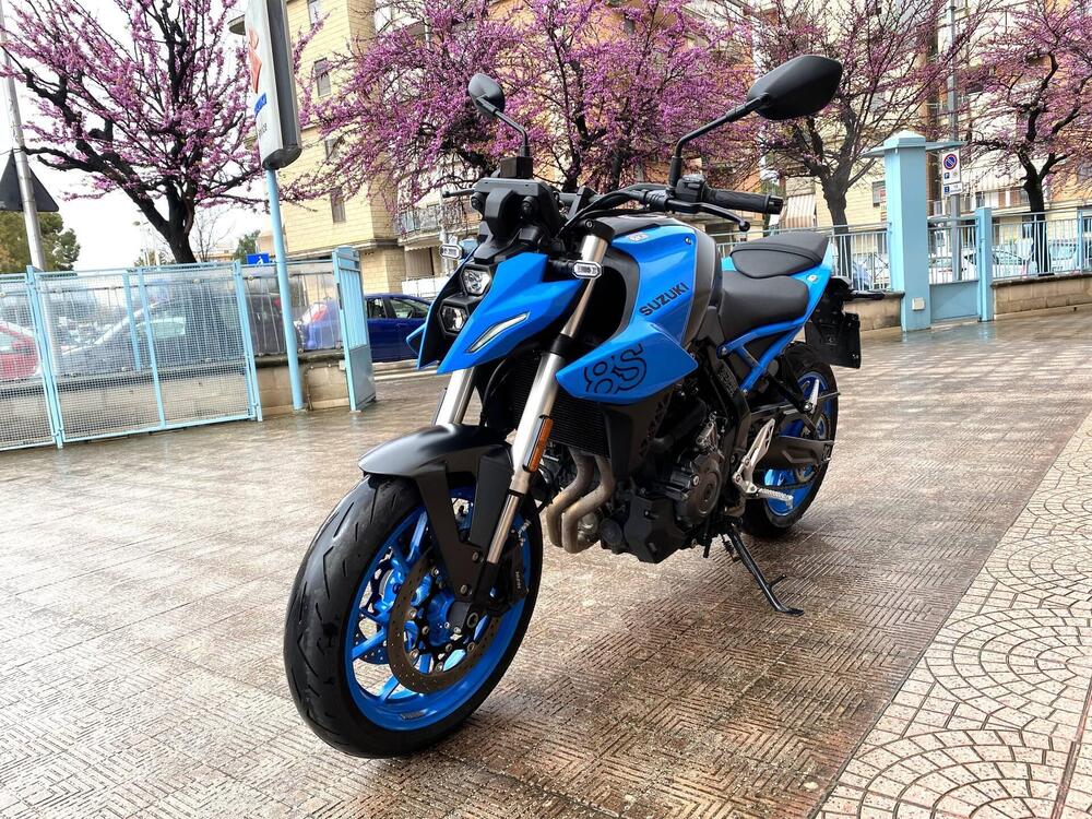 Suzuki GSX-8S (2023 - 24) (3)