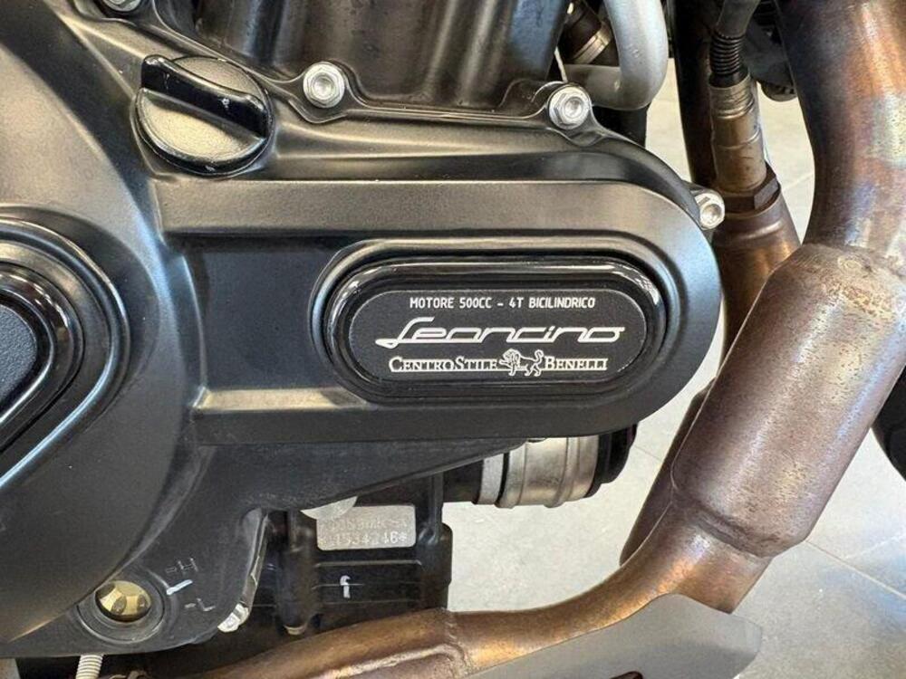 Benelli Leoncino 500 (2021 - 25) (6)