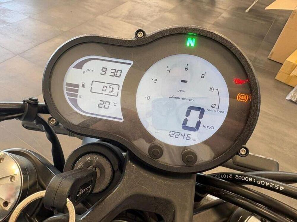 Benelli Leoncino 500 (2021 - 25) (4)