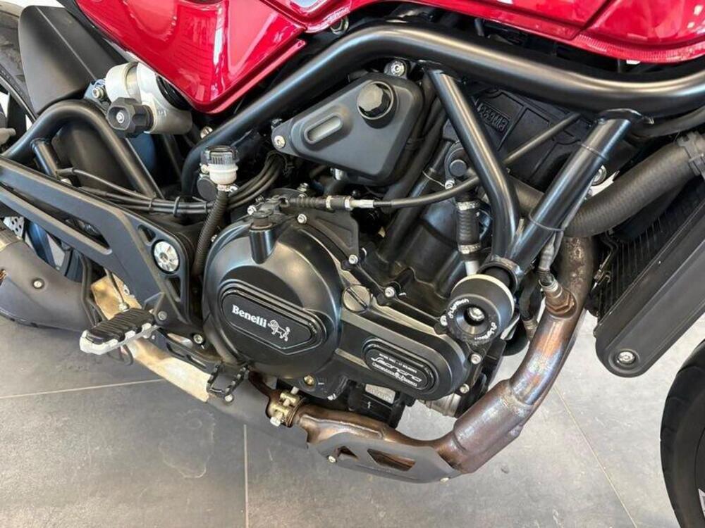 Benelli Leoncino 500 (2021 - 25) (8)