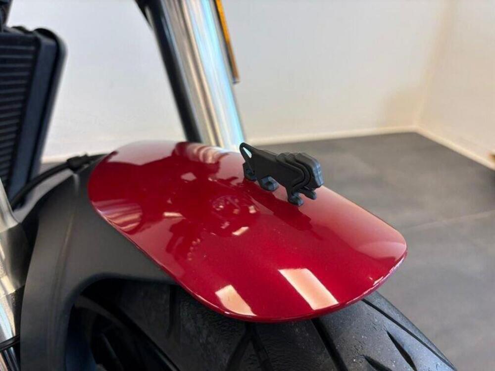 Benelli Leoncino 500 (2021 - 25) (11)