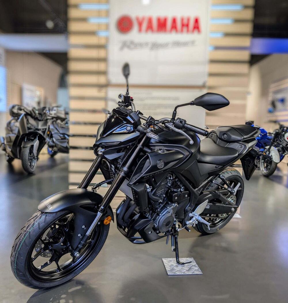 Yamaha MT-03 (2022 - 24) (4)