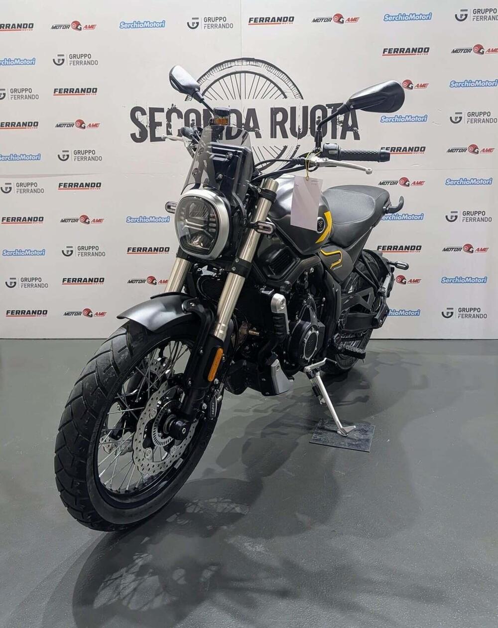 Voge Trofeo 525ACX Scrambler (2023 - 26) (3)