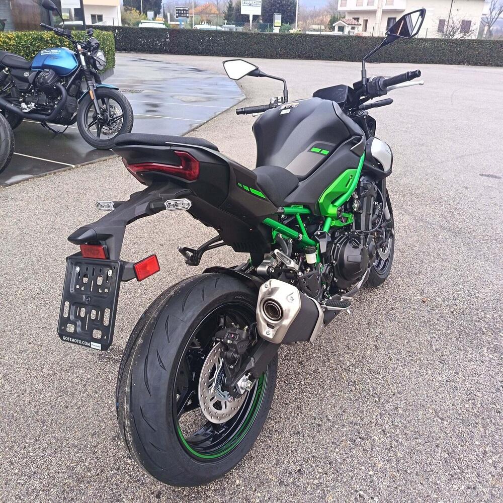 Kawasaki Z 900 (2025 - 26) (7)