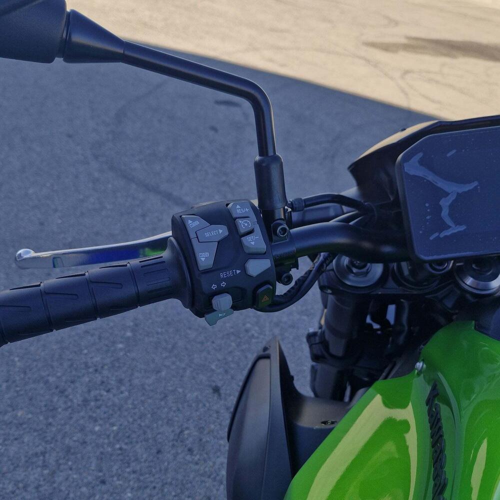 Kawasaki Z 900 (2025 - 26) (7)