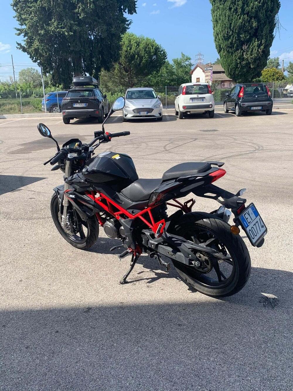 Benelli BN 125 (2021 - 25) (4)