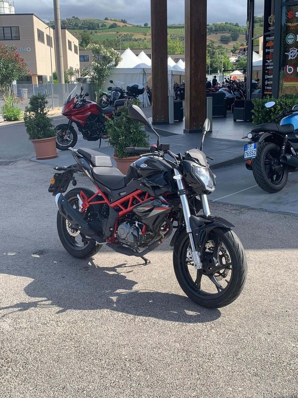 Benelli BN 125 (2021 - 25) (7)