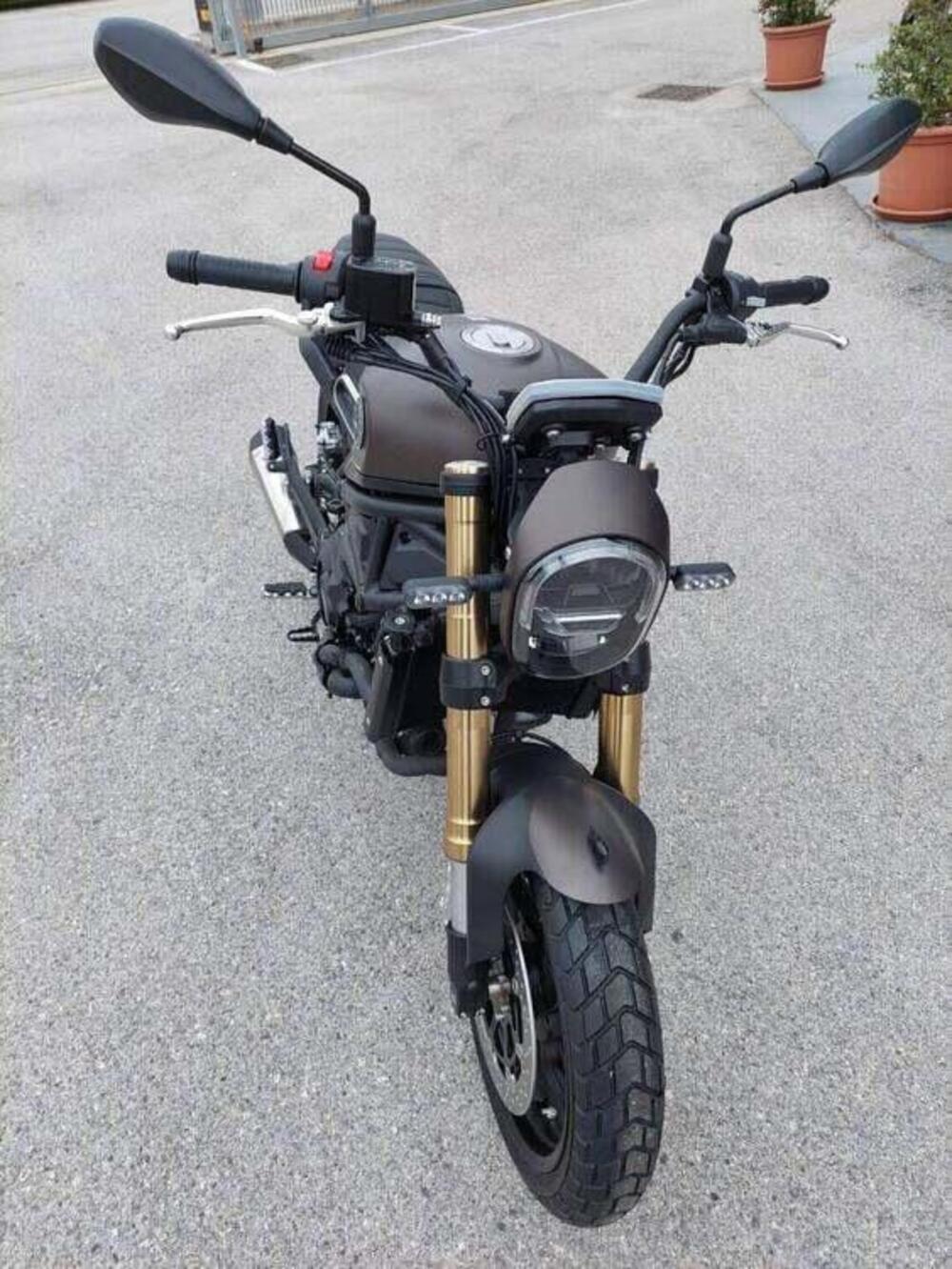 Benelli Leoncino 800 Trail (2022 - 26) (4)