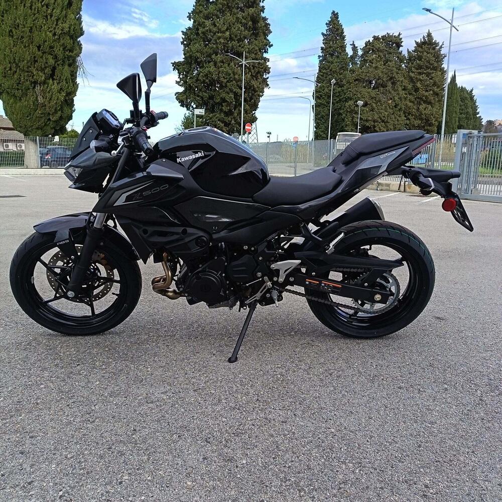 Kawasaki Z 500 (2024 - 26) (5)