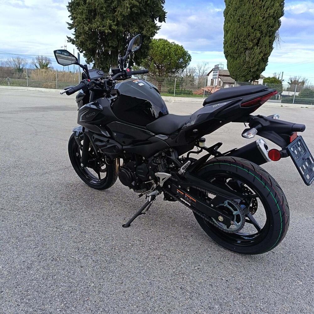 Kawasaki Z 500 (2024 - 26) (6)