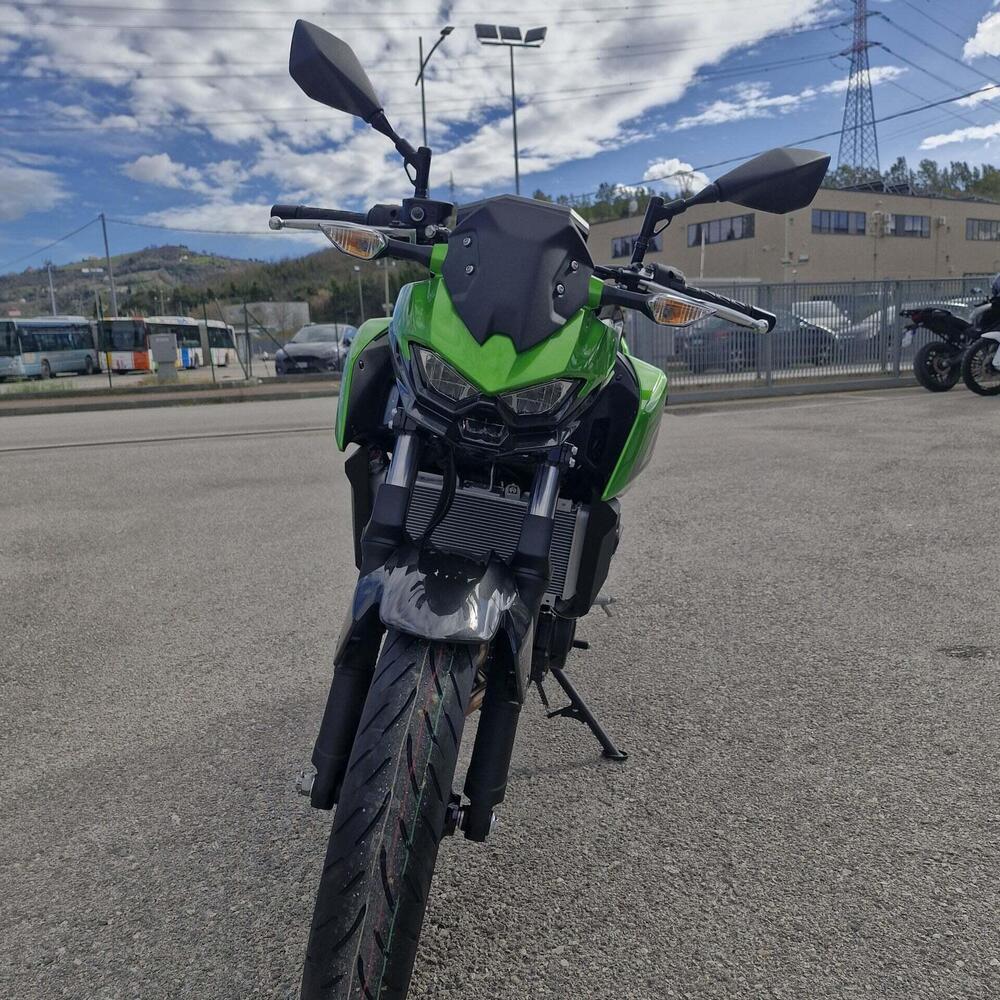 Kawasaki Z 500 (2024 - 26) (8)