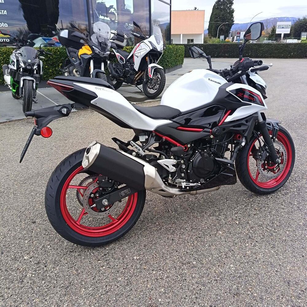 Kawasaki Z 500 SE (2024 - 26) (4)