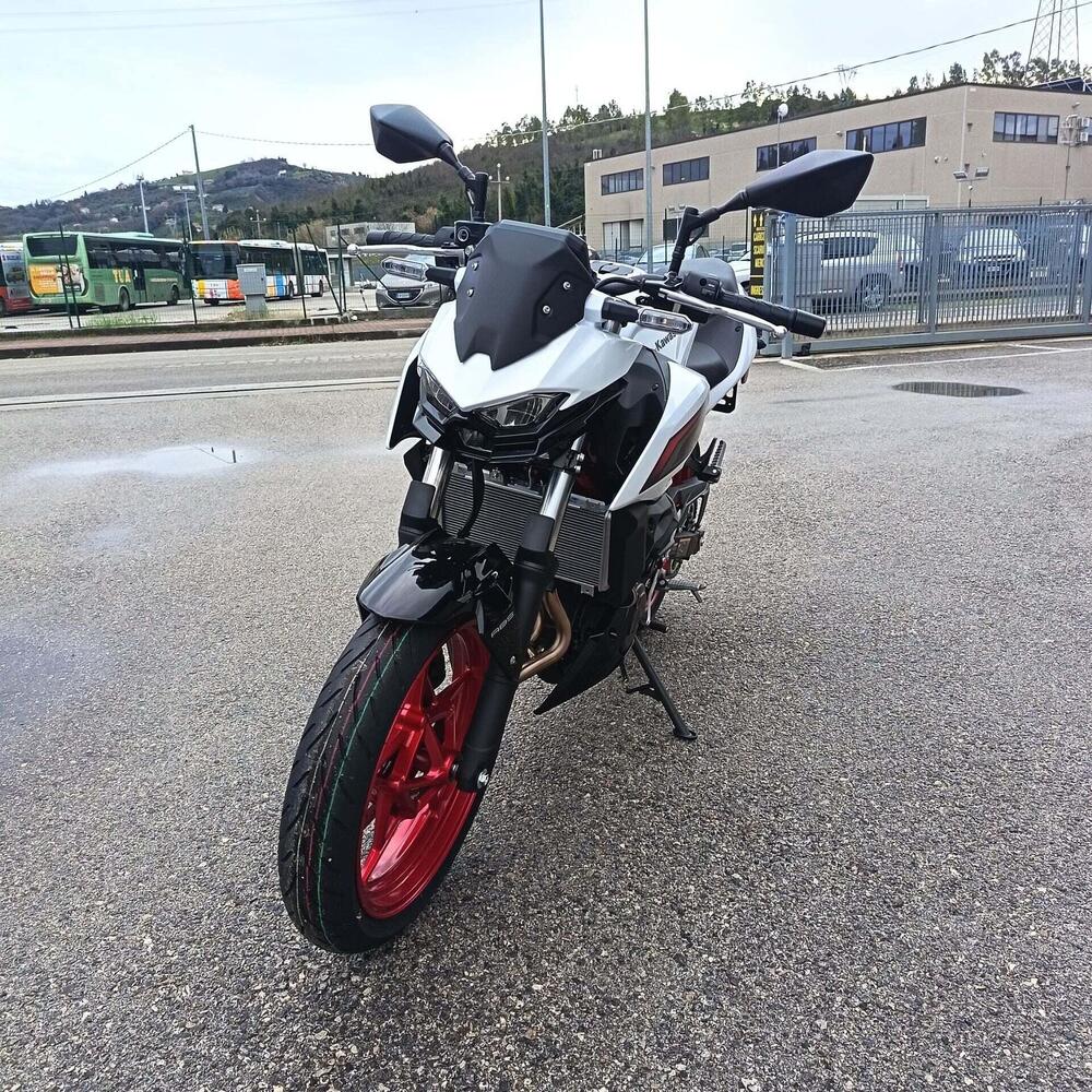 Kawasaki Z 500 SE (2024 - 26) (8)