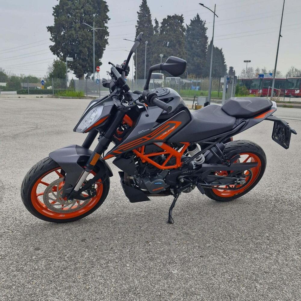 KTM 125 Duke (2021 - 23) (6)