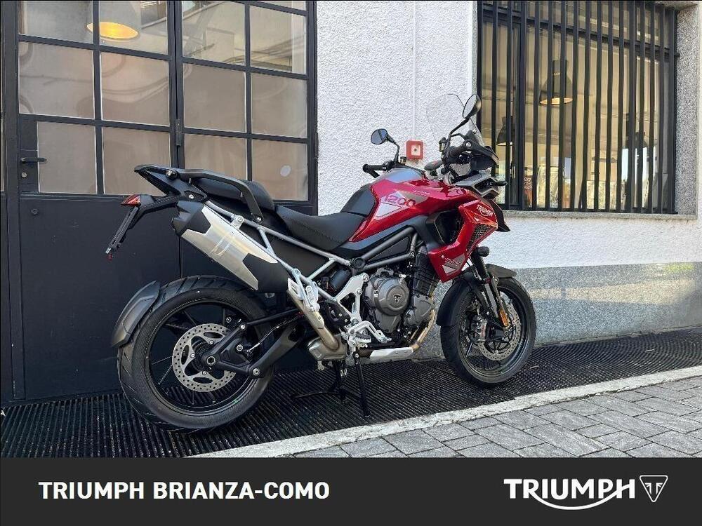 Triumph Tiger 1200 GT Pro (2024 - 26) (3)