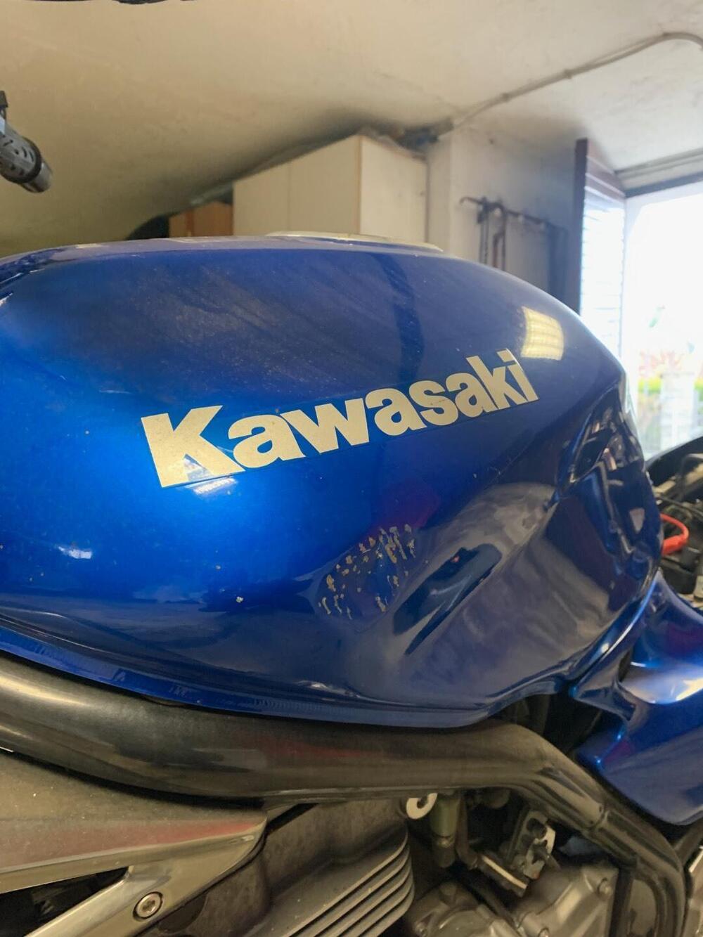 Kawasaki ER-5 500 (2001 - 06) (3)