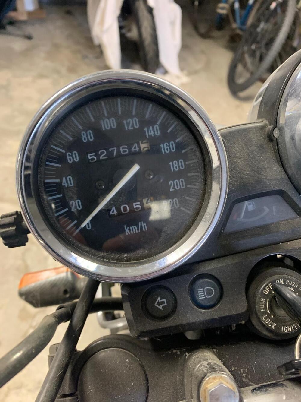 Kawasaki ER-5 500 (2001 - 06) (4)