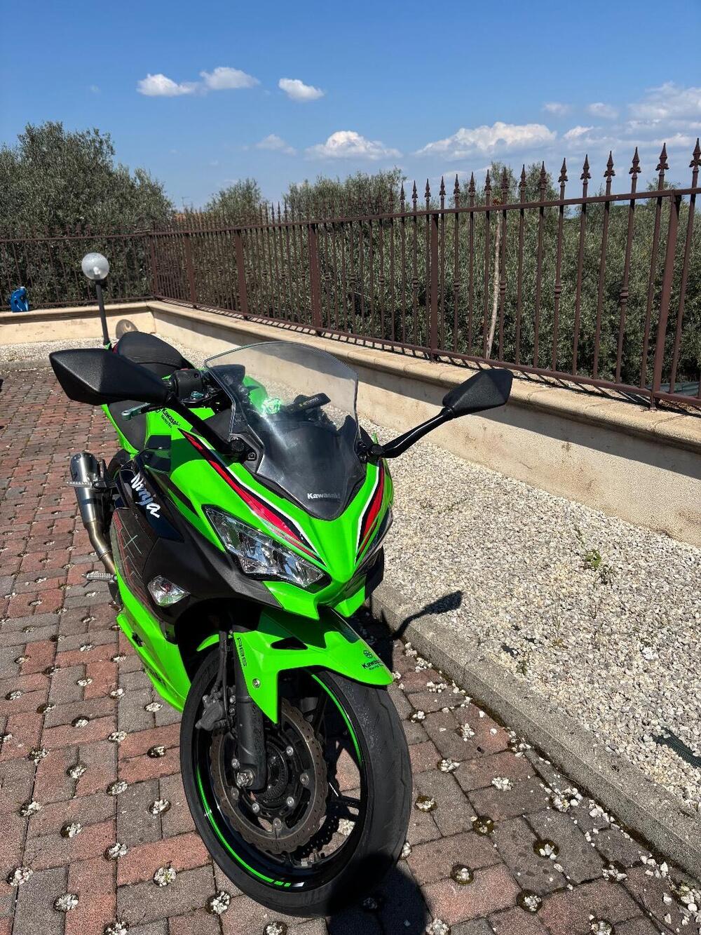 Kawasaki Ninja 400 (2023) (5)