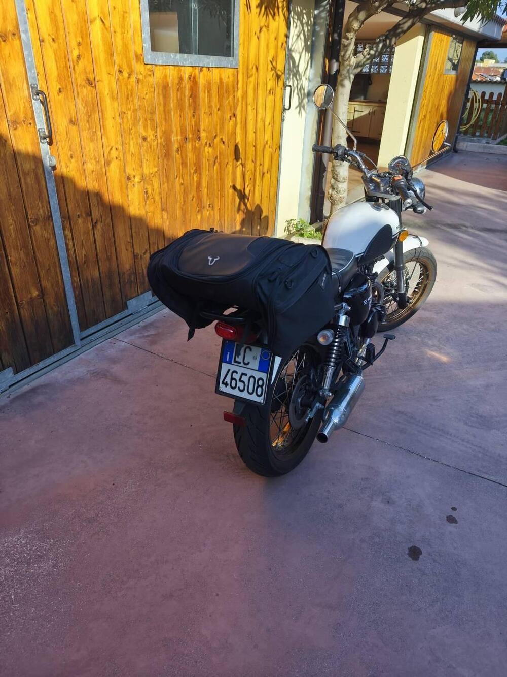 Mash Italia Seventy Five 125 (2014 - 16) (5)