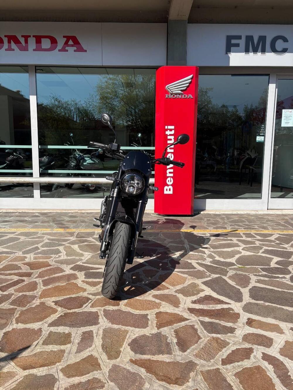 Benelli Leoncino 500 (2021 - 25) (3)