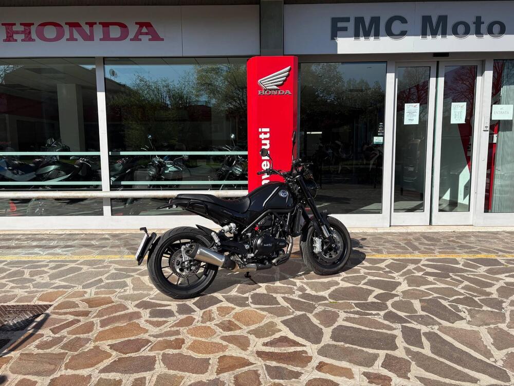 Benelli Leoncino 500 (2021 - 25) (6)