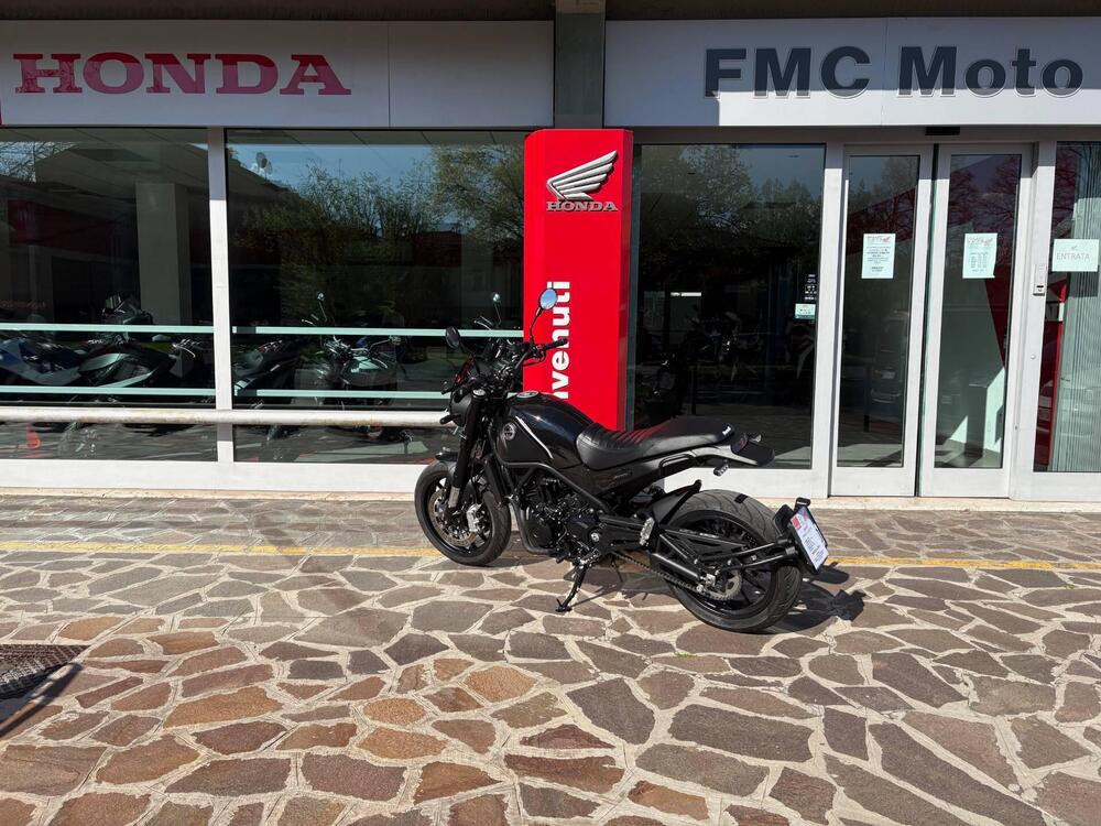 Benelli Leoncino 500 (2021 - 25) (7)