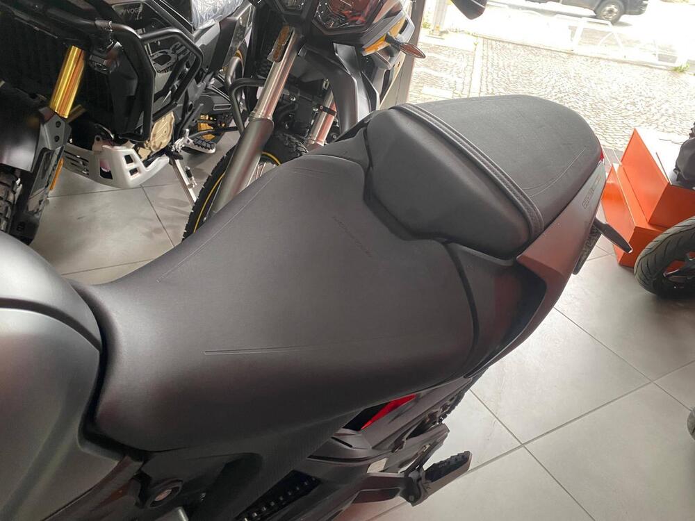 Ducati Monster 937 + (2021 - 25) (6)