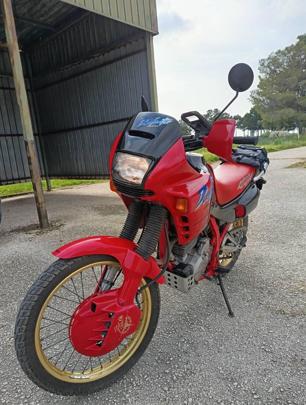 Honda Nx Dominator 650 (2)