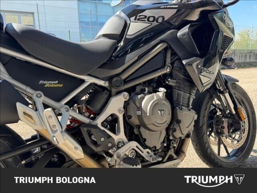 Triumph Tiger 1200 GT Pro (2024 - 26) (5)