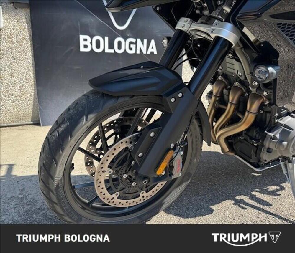 Triumph Tiger 1200 GT Pro (2024 - 26) (7)