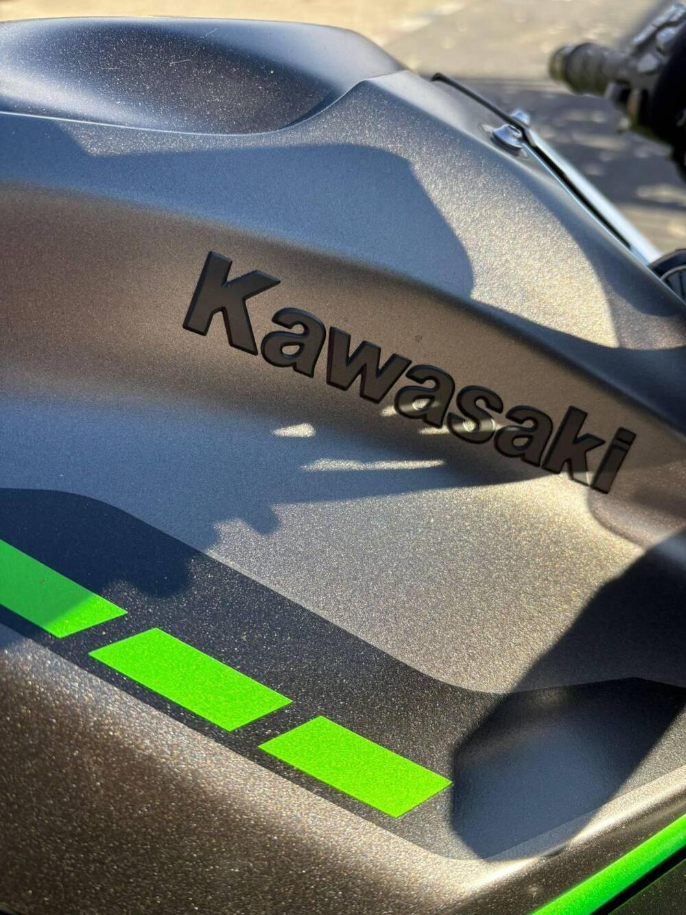 Kawasaki Z 900 (2025 - 26)