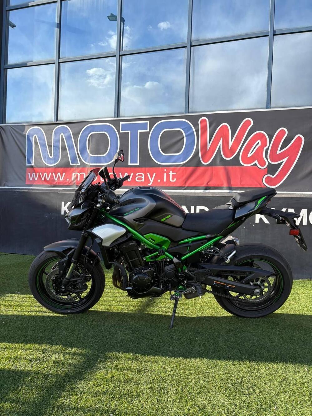 Kawasaki Z 900 (2025 - 26) (5)