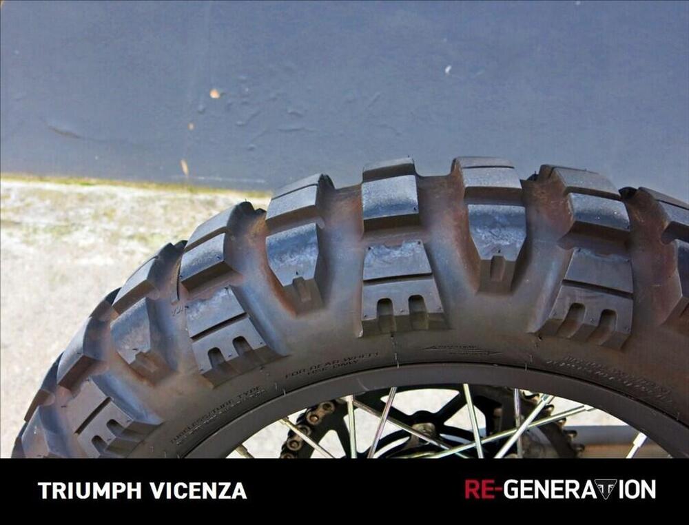 Fantic Motor Caballero 500 Rally (2021 - 23) (9)