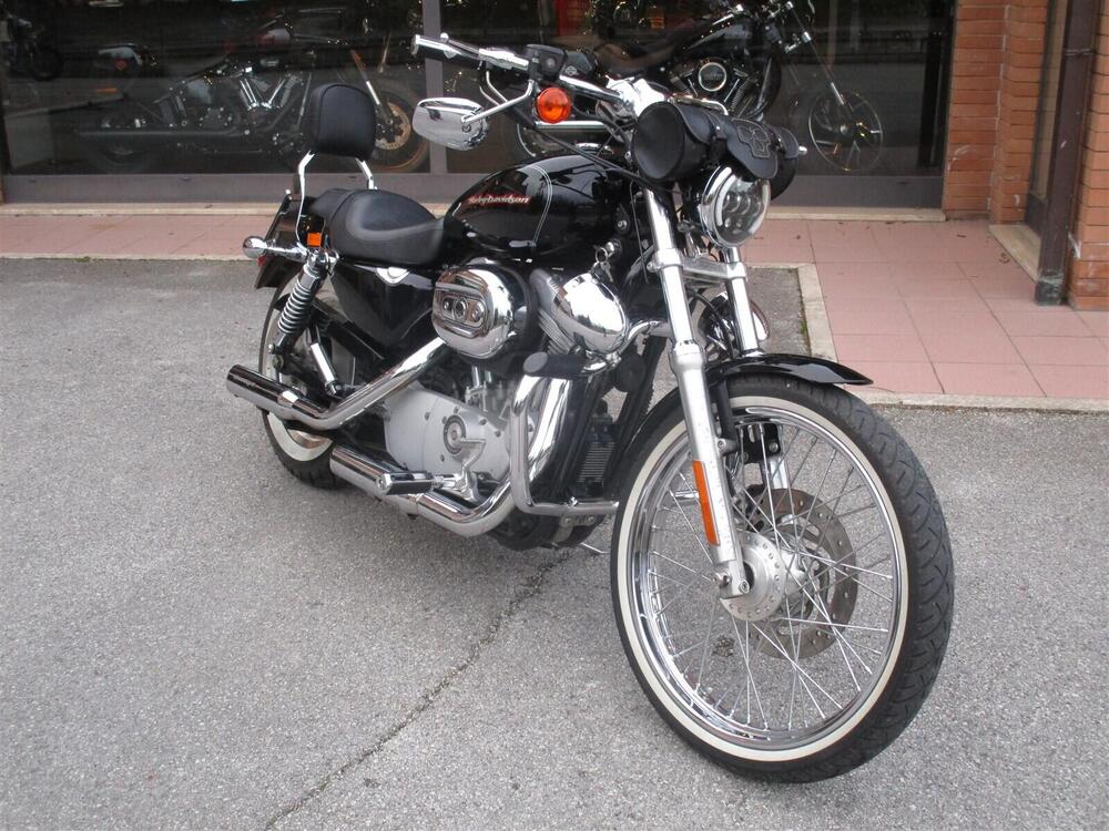 Harley-Davidson 883 Custom (2001 - 05) - XL 53C (2)