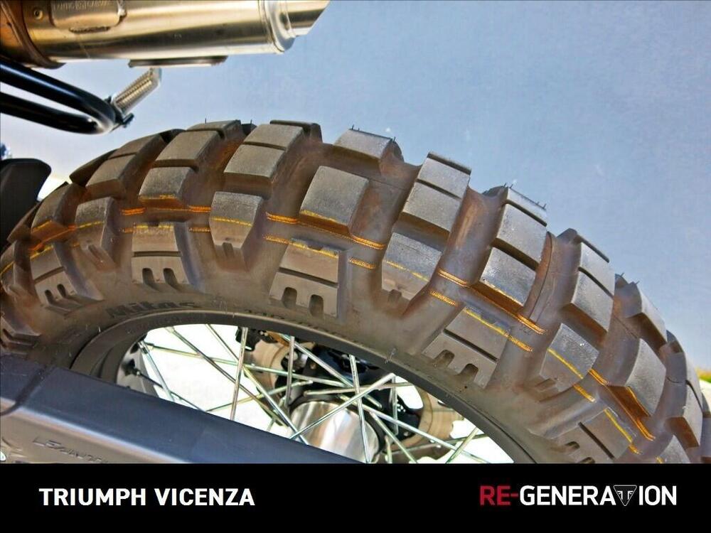 Fantic Motor Caballero 500 Rally (2021 - 23) (13)