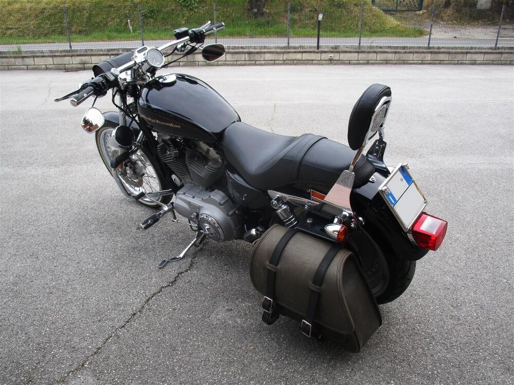 Harley-Davidson 883 Custom (2001 - 05) - XL 53C (4)