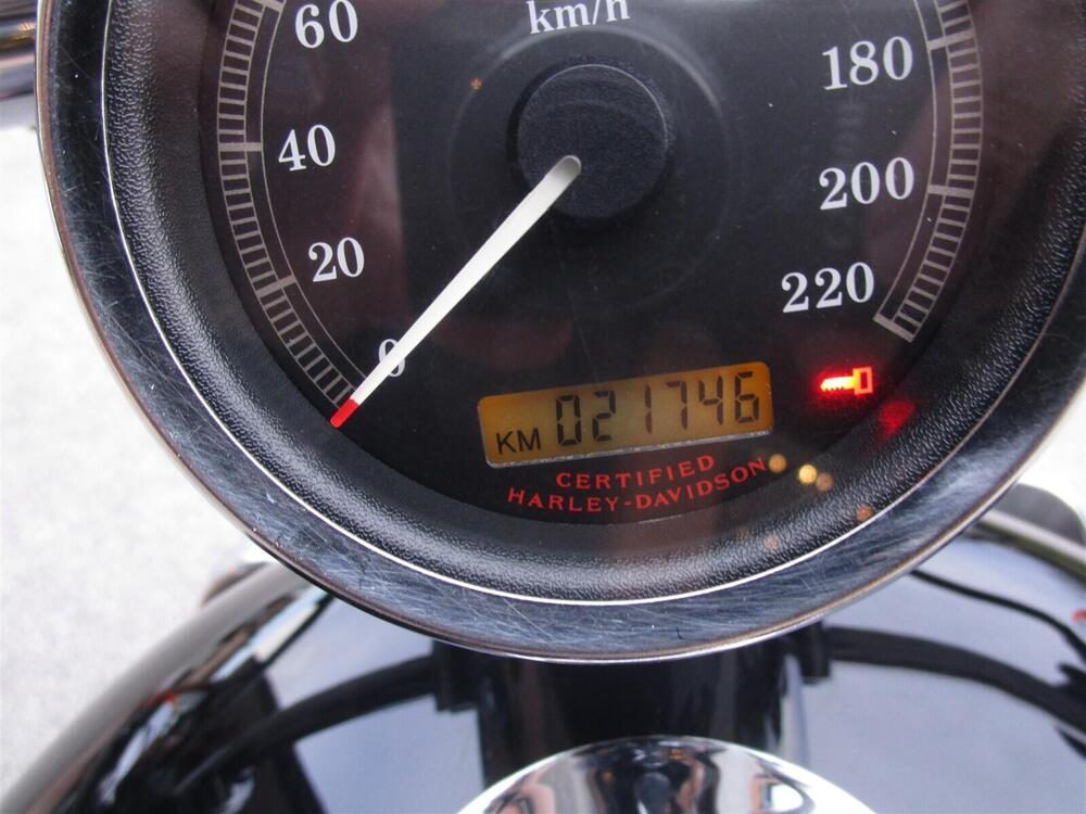 Harley-Davidson 883 Custom (2001 - 05) - XL 53C (9)