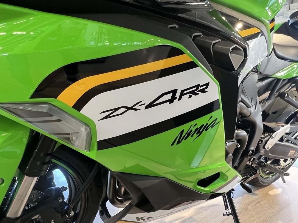 Kawasaki Ninja ZX-4RR (2024 - 26) (6)