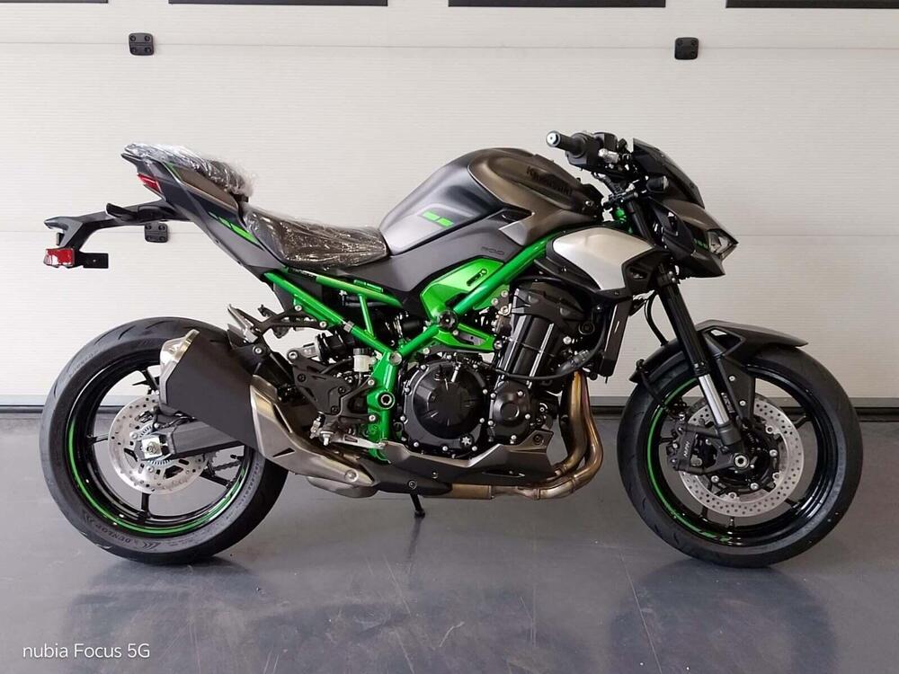 Kawasaki Z 900 (2025 - 26)