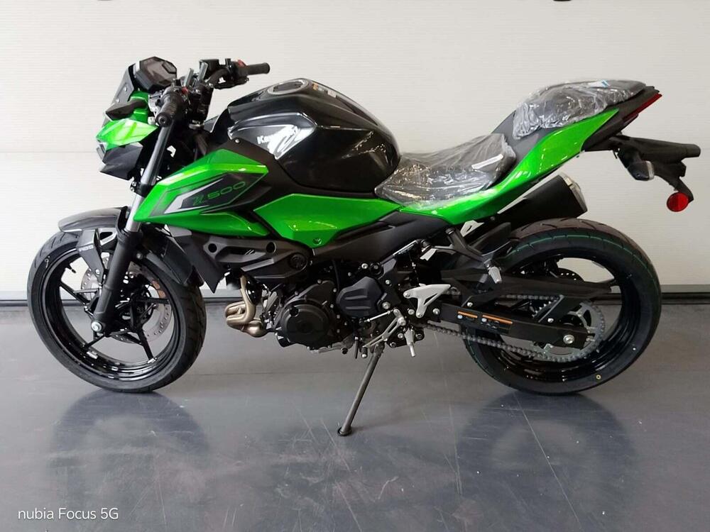 Kawasaki Z 500 (2024 - 26) (2)
