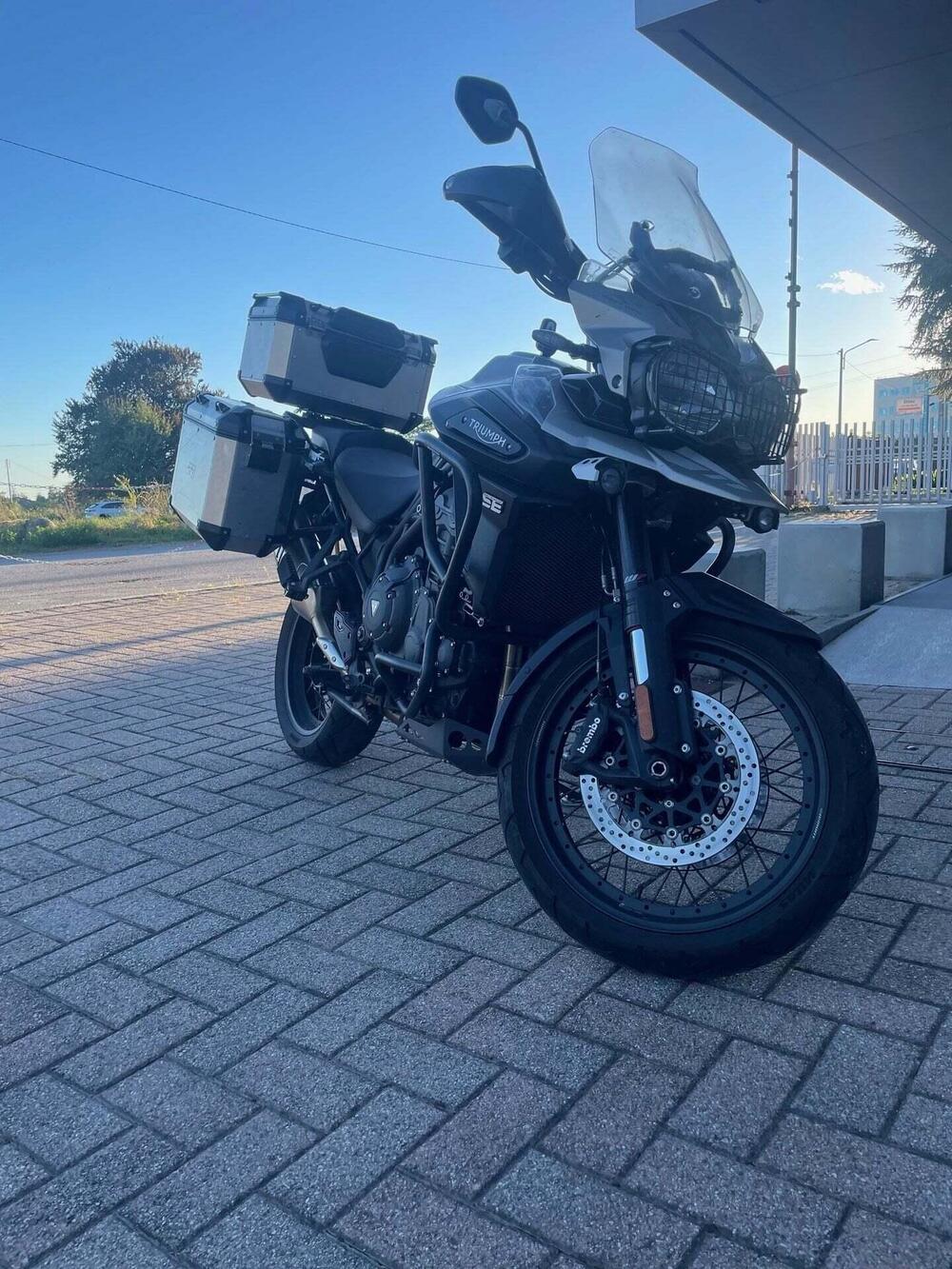 Triumph Tiger 1200 Desert Edition (2020) (2)