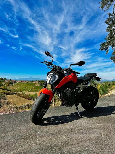 KTM 790 Duke (2018 - 20) usata