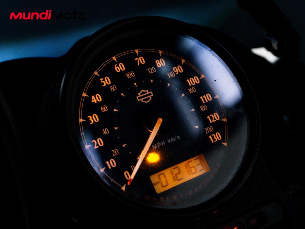 Harley-Davidson 1200 Iron (2018 - 20) - XL1200N (12)