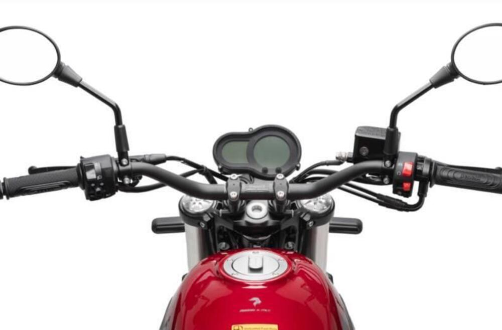 Benelli Leoncino 500 (2021 - 25) (9)