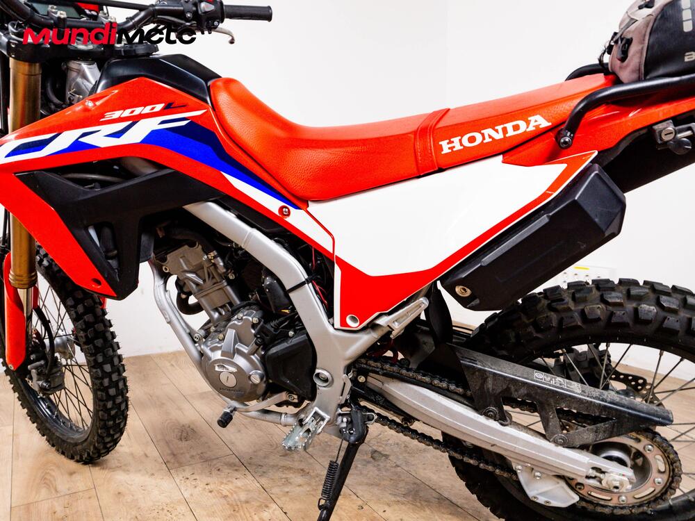 Honda CRF 300 Rally (2021 - 24) (10)