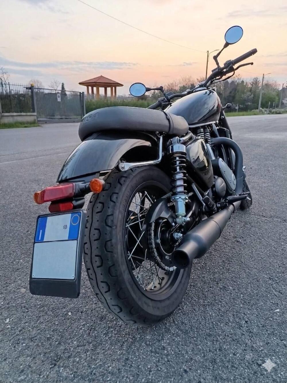 Bsa Gold Star 650 (2024 - 26) (3)