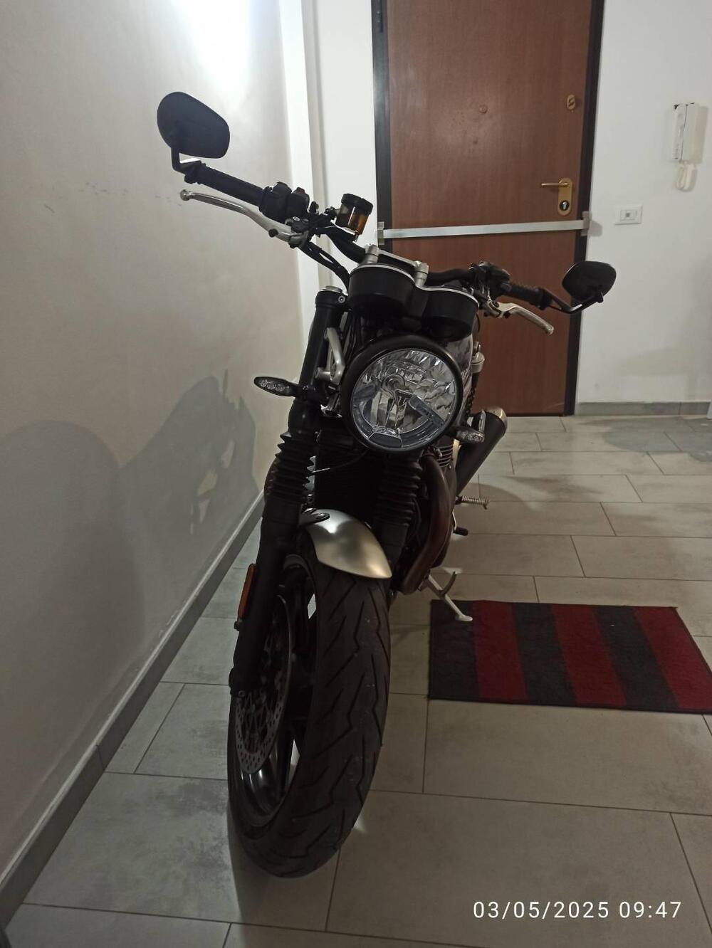 Triumph Speed Twin 1200 (2019 - 20) (19)