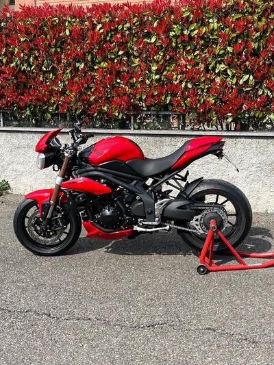 Triumph Speed Triple 1050 (2011 - 13) usata